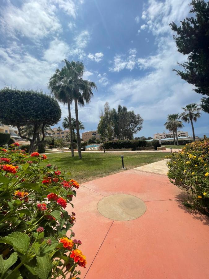 Direct Sea View & Quality Bed - Kings Palace 1 Bed بافوس المظهر الخارجي الصورة
